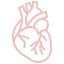 Cardiología Felina