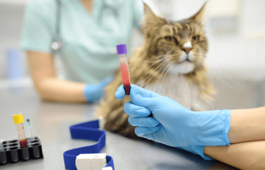Enfermedades Infecciosas