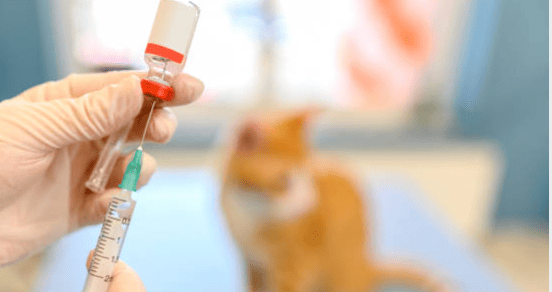 Medicina Preventiva